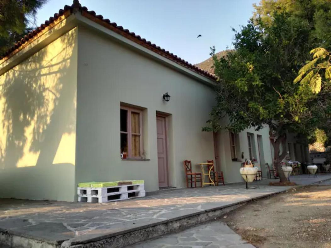 Arsinoe - Cosy Guesthouse- Méthana 외부 사진